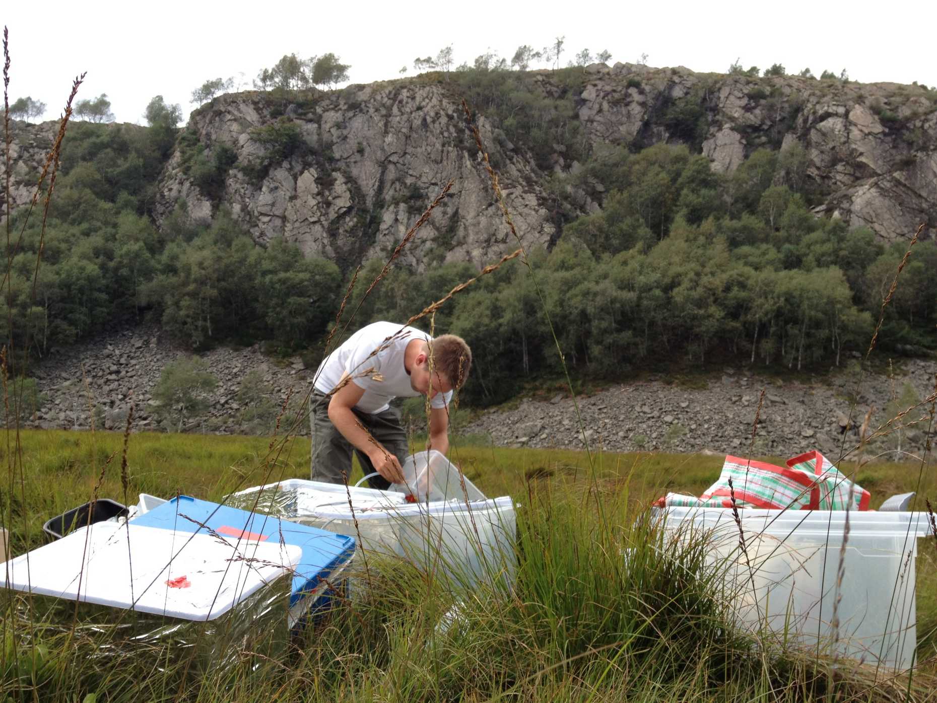 Enlarged view: Bas Vriens performing fieldwork in the peat bog Gola di Lago