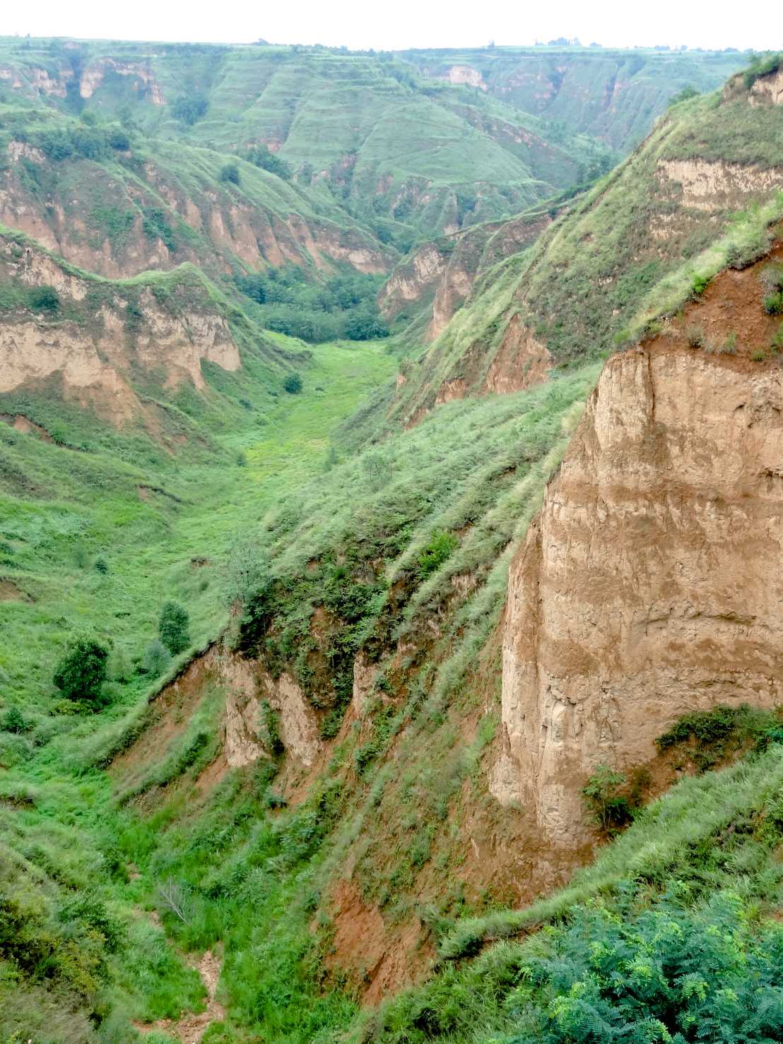 Enlarged view: Chinese Loess Plateau North Central China
